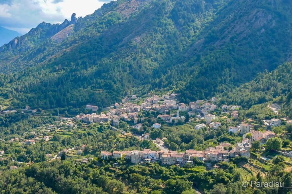 Studio Venaco Centre Corse Διαμέρισμα Εξωτερικό φωτογραφία